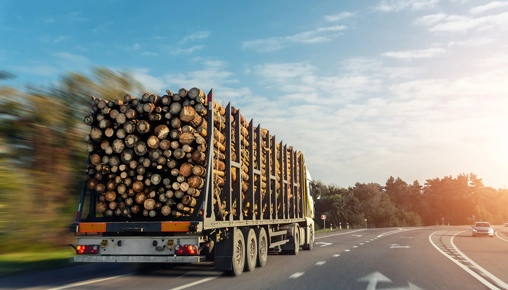 Camión forestal cargado con troncos en carretera