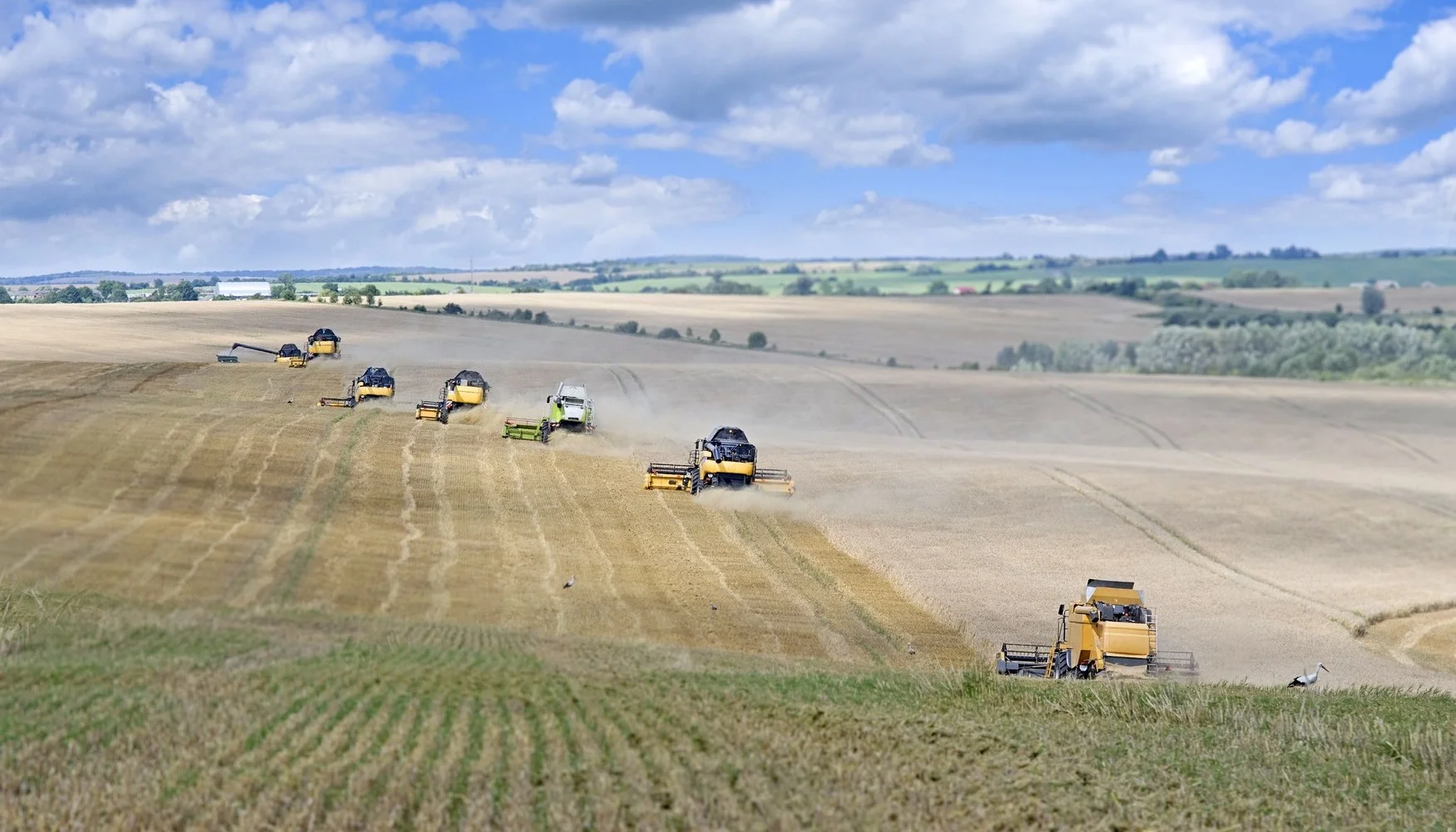 Cosechadoras trabajando en un campo agrícola