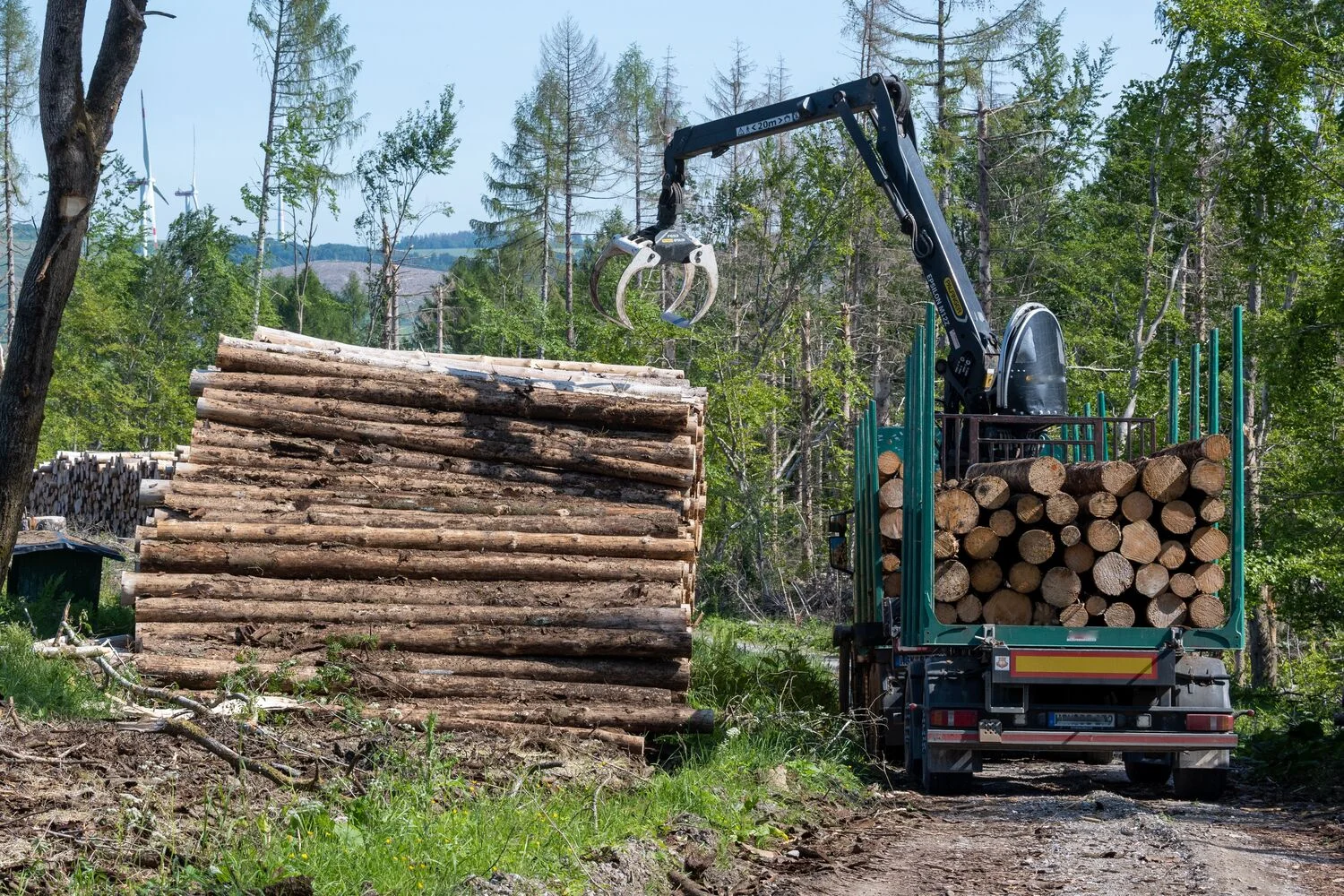 Maquinaria forestal cargando troncos